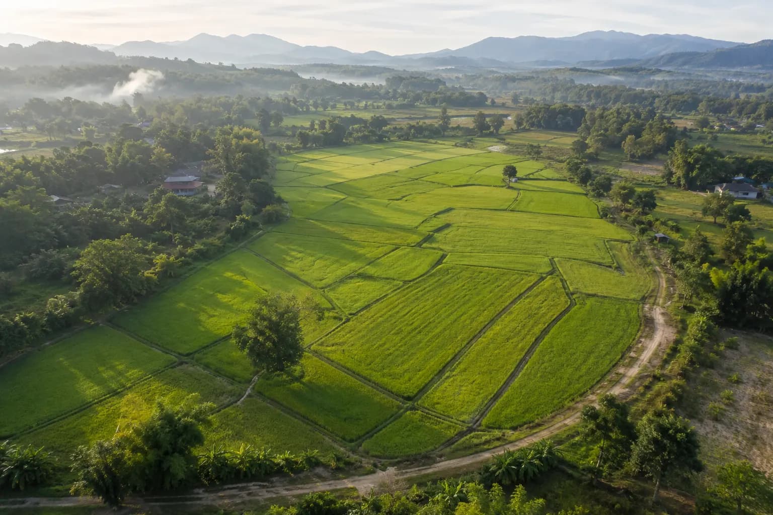 ที่นาแม่จัน เชียงราย 7 ไร่ วิวดอยนางนอน