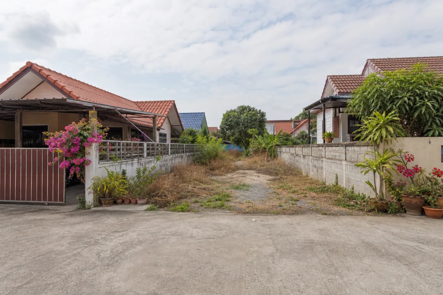 ที่ดินป่าซาง 200 ตร.ว. ในหมู่บ้าน รูปที่ 1