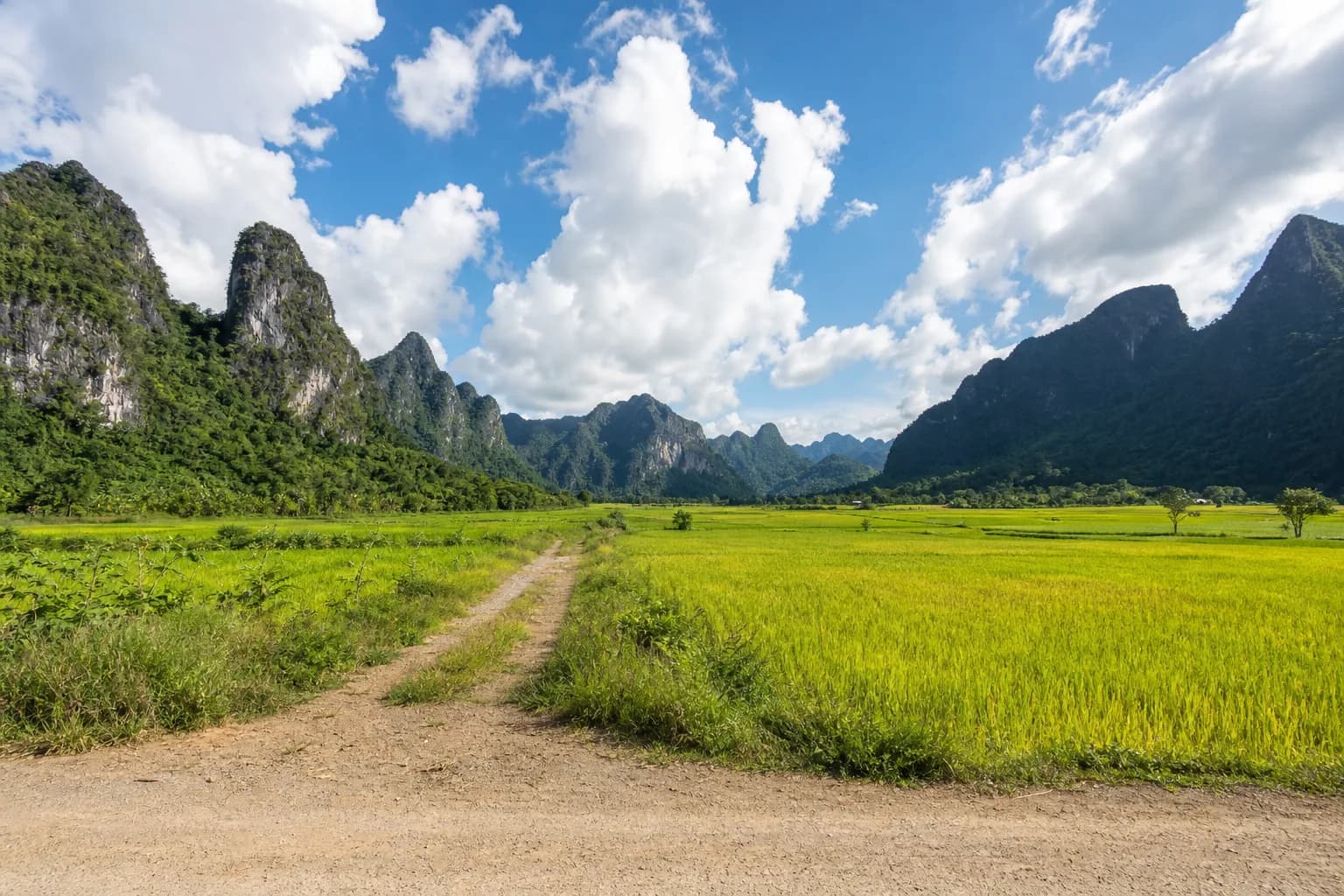 ที่ดินพร้าว 12 ไร่ ที่นาผืนใหญ่ รูปที่ 1