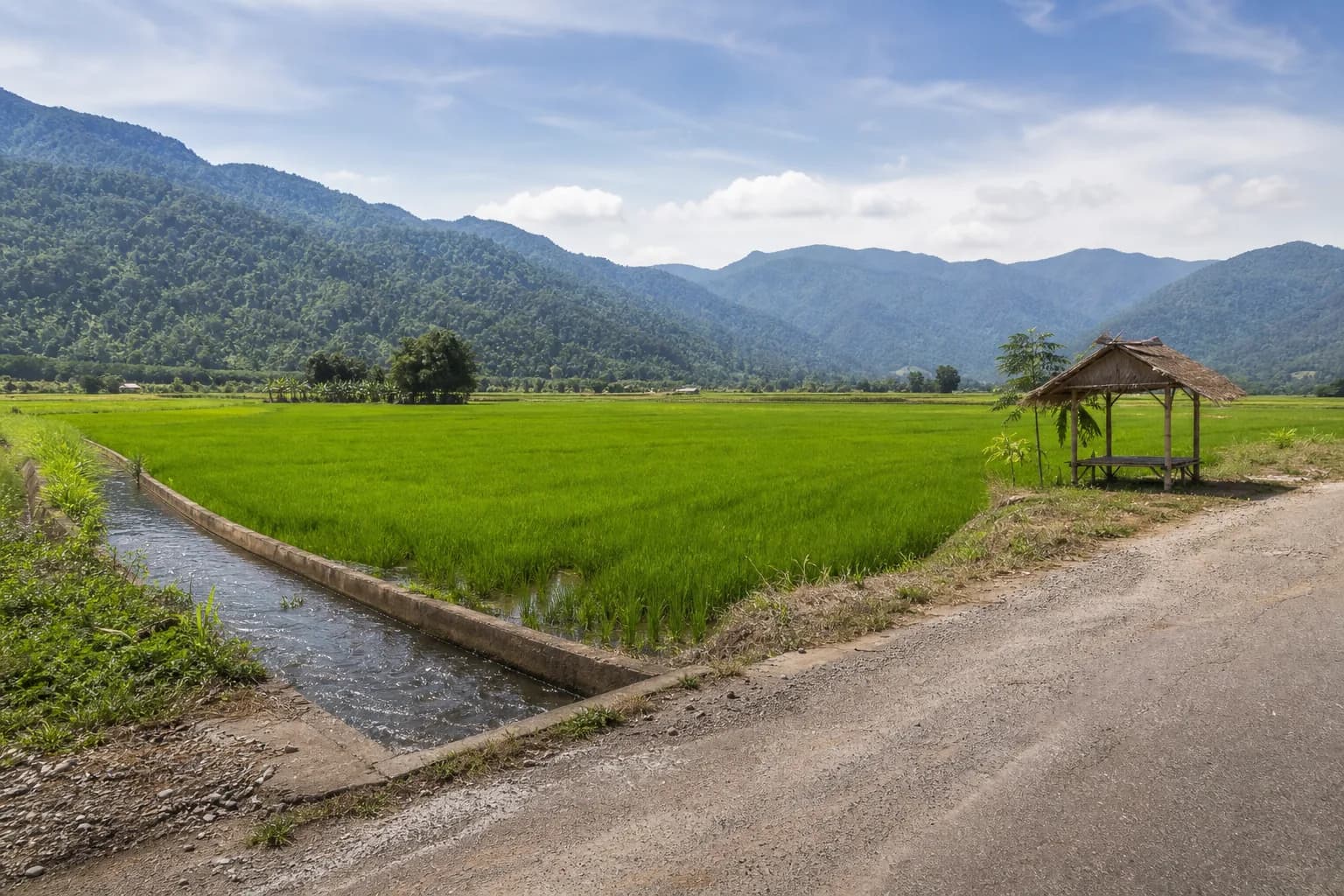 ที่ดินวังเหนือ 12 ไร่ ที่นาผืนสวย รูปที่ 1