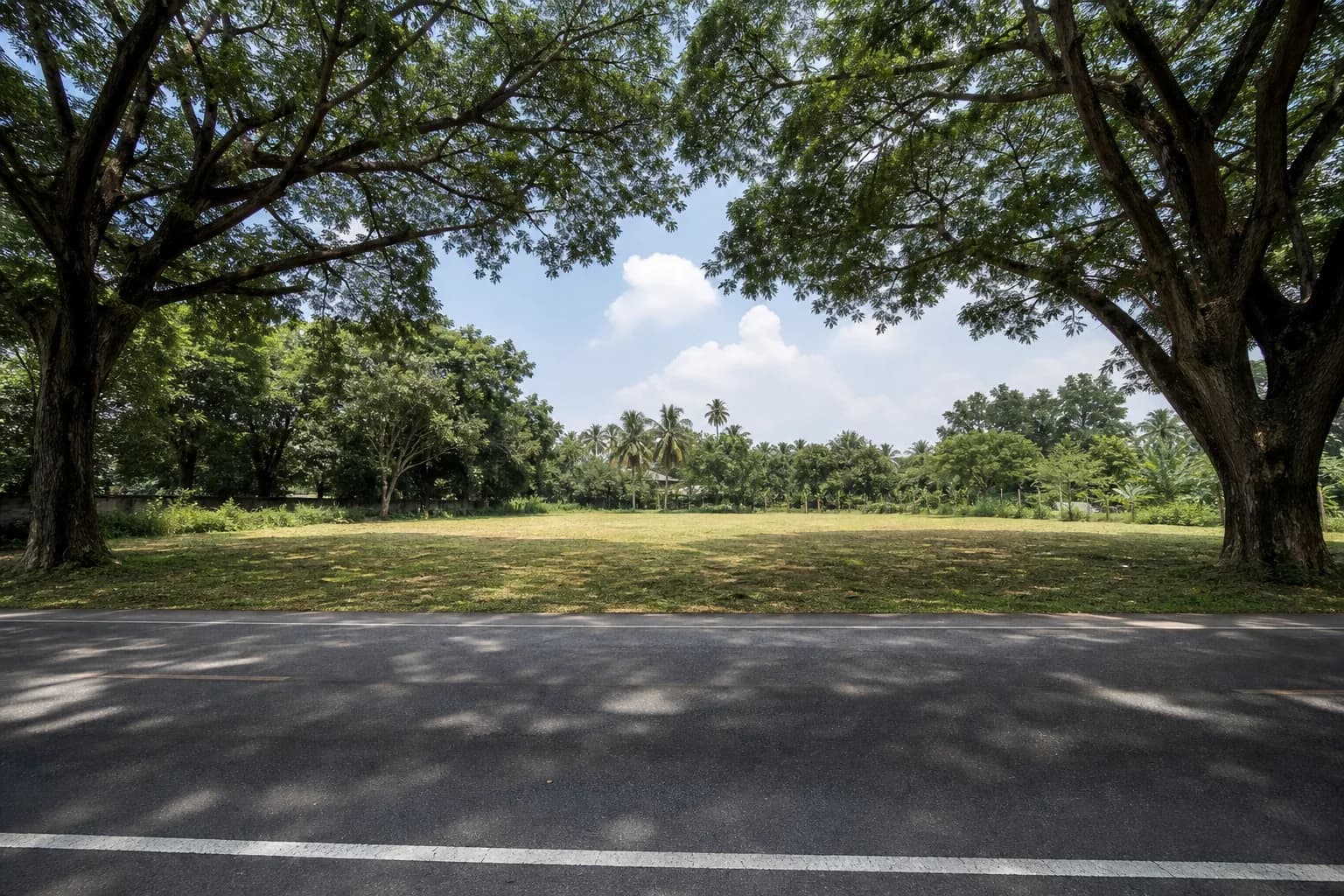 ที่ดินสารภี 3 ไร่ ติดถนนเชียงใหม่-ลำพูน รูปที่ 1