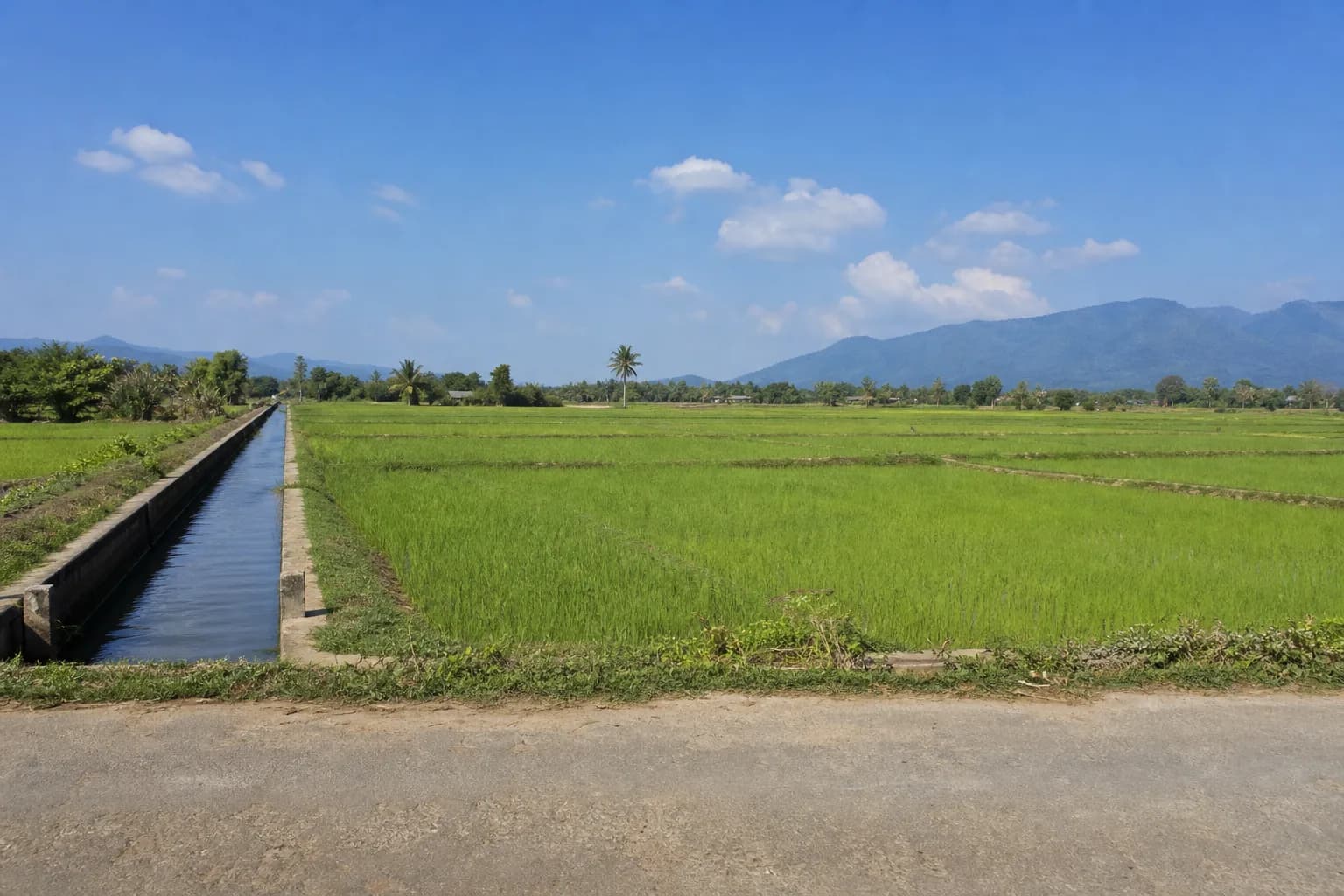 ที่ดินสันป่าตอง 4 ไร่ ที่นาติดคลอง รูปที่ 1