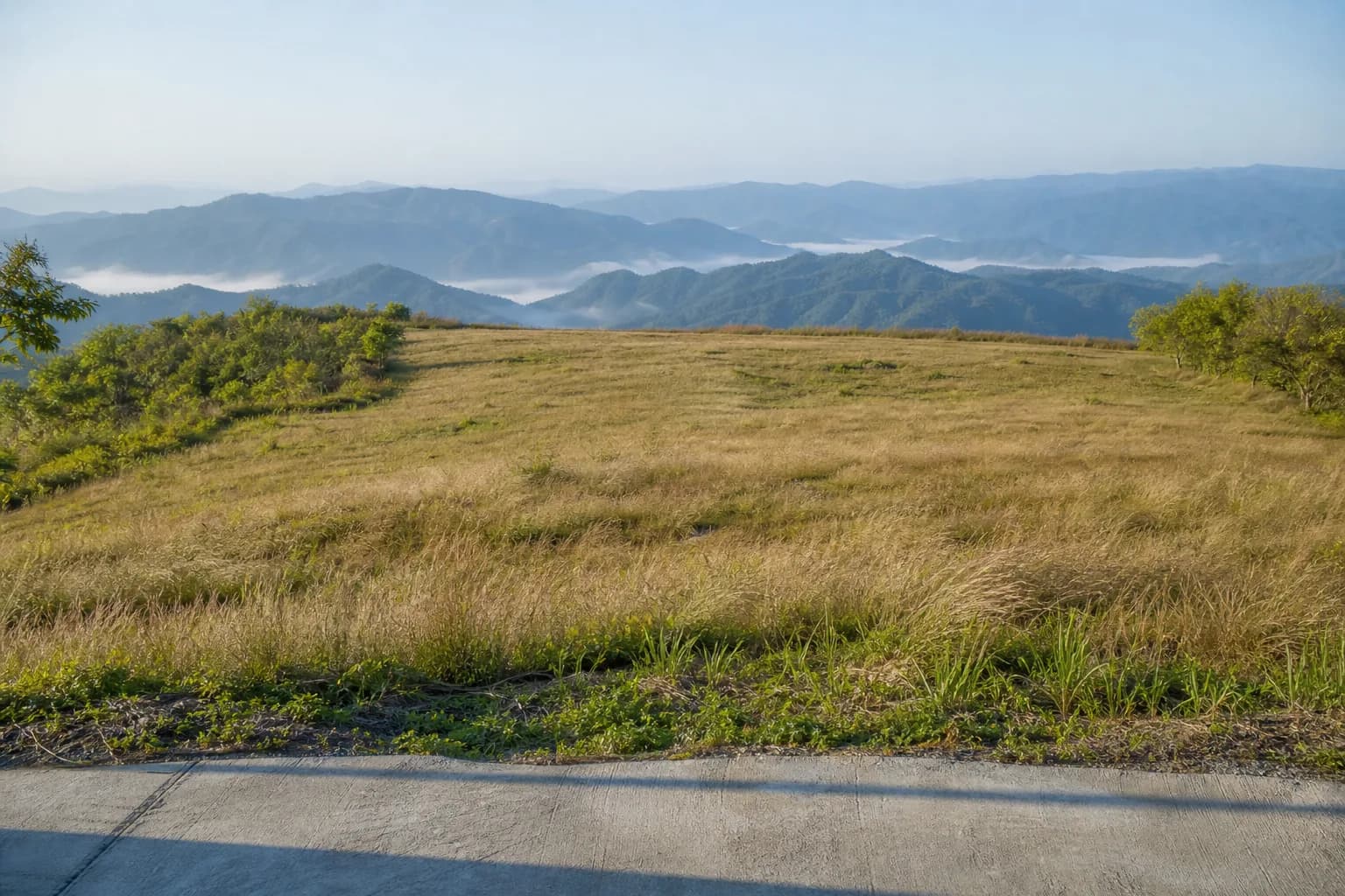ที่ดินแม่ออน 6 ไร่ วิวภูเขา 360 องศา รูปที่ 1
