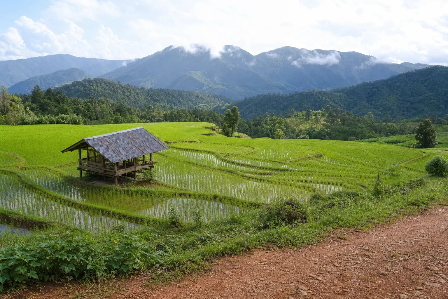 ที่ดินแม่แจ่ม 10 ไร่ นาขั้นบันได รูปที่ 1